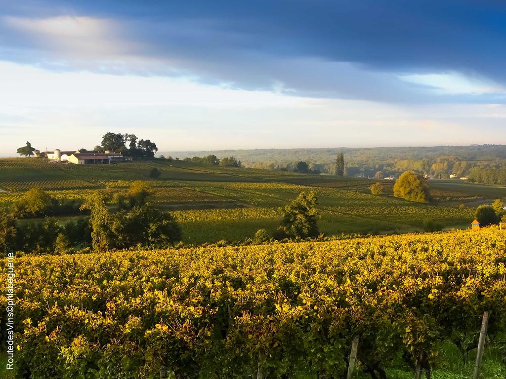 Bed & Breakfast La Sauternaise, Luxury Boutique Sauternes